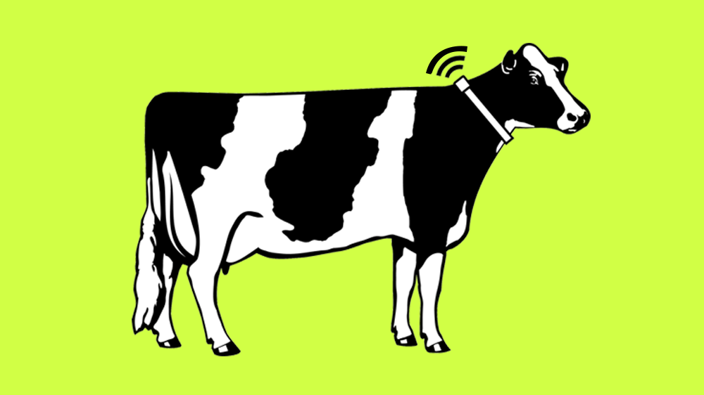 Chipotle Moovement, a concept that suggested tracking farm animal exercise.