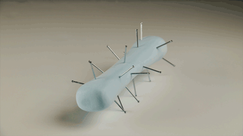 "Legs have a spiky/furry surface..."