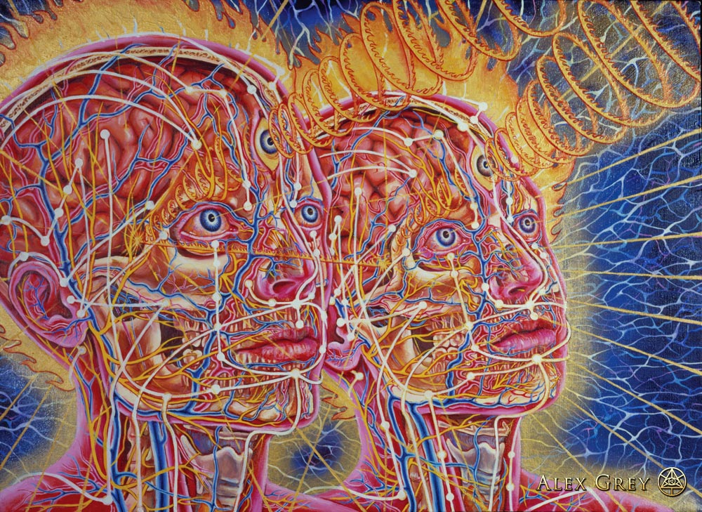 " New Man, New Woman, " Alex Grey, 1984, oil on linen, 24 x 30 inches