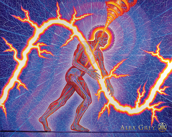 "Lightworker," Alex Grey, 2012, oil on linen, 114 x 90 in