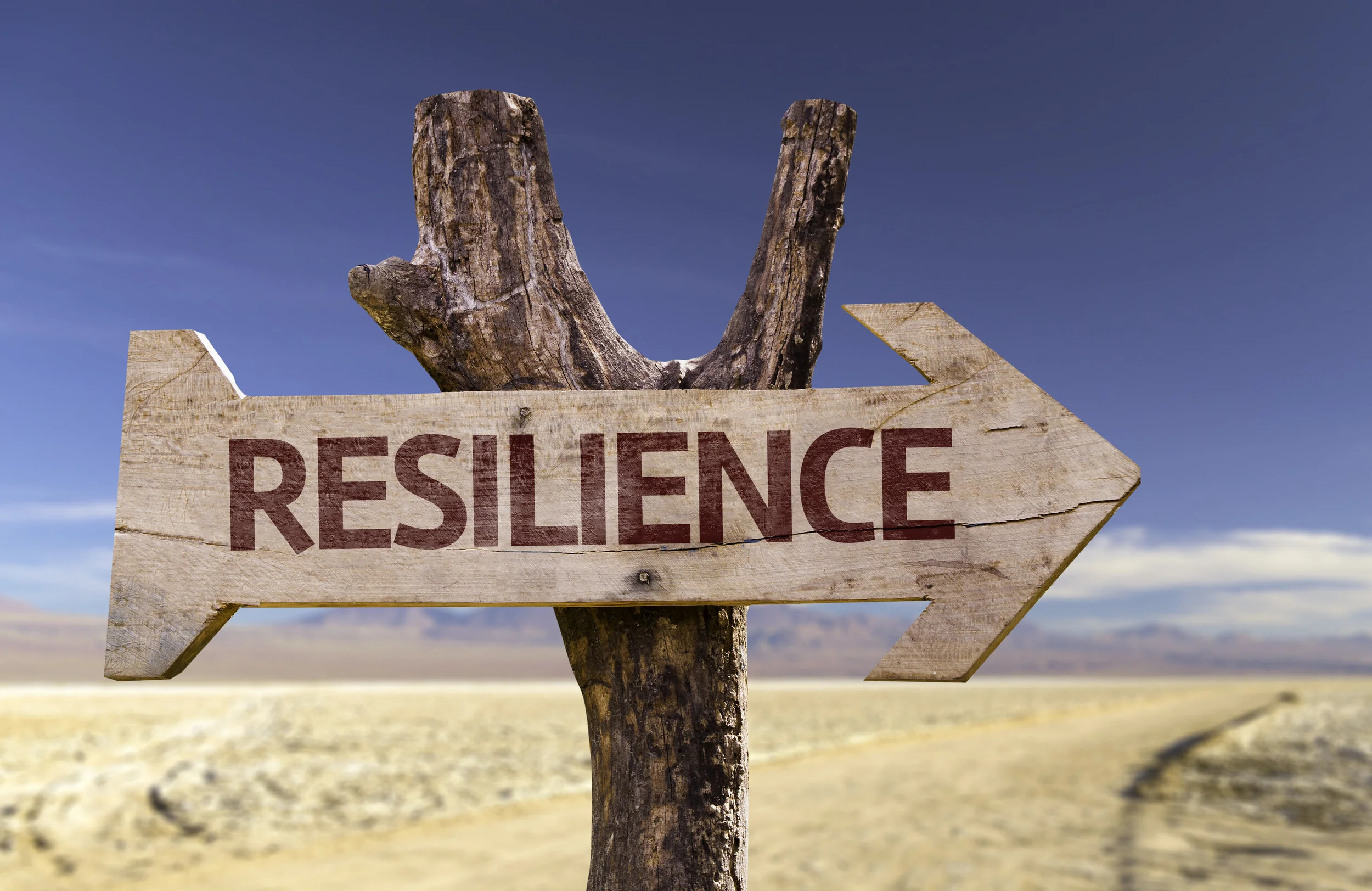 Developing Resilience During Hard Times