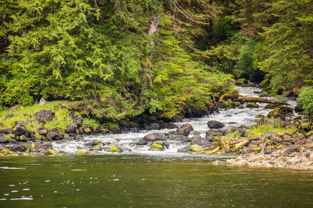 Why Being Adaptable Is Vital