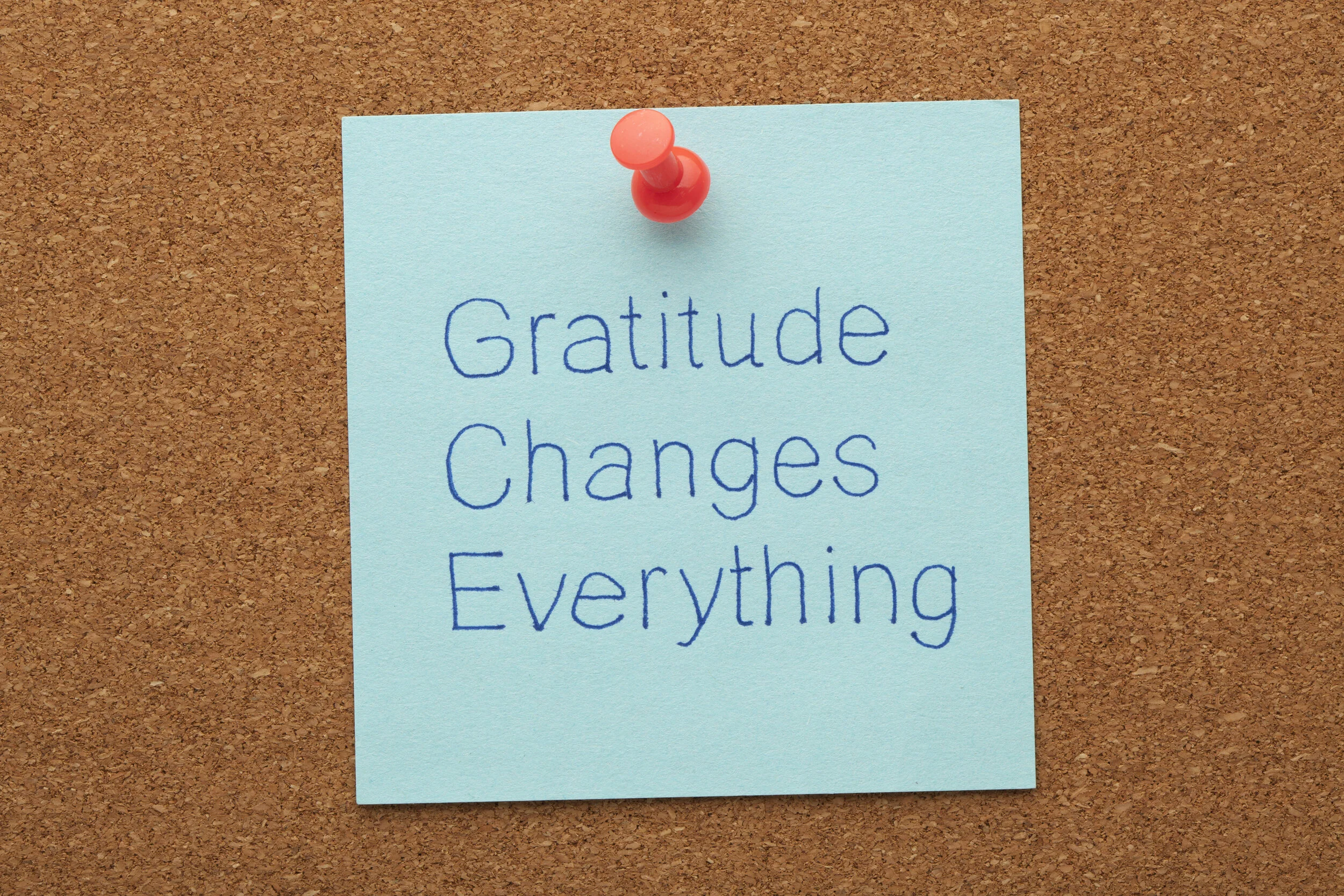 What You Can Learn From My Dream About Gratitude