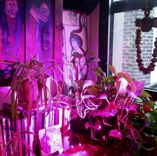 Image of Studio 2017