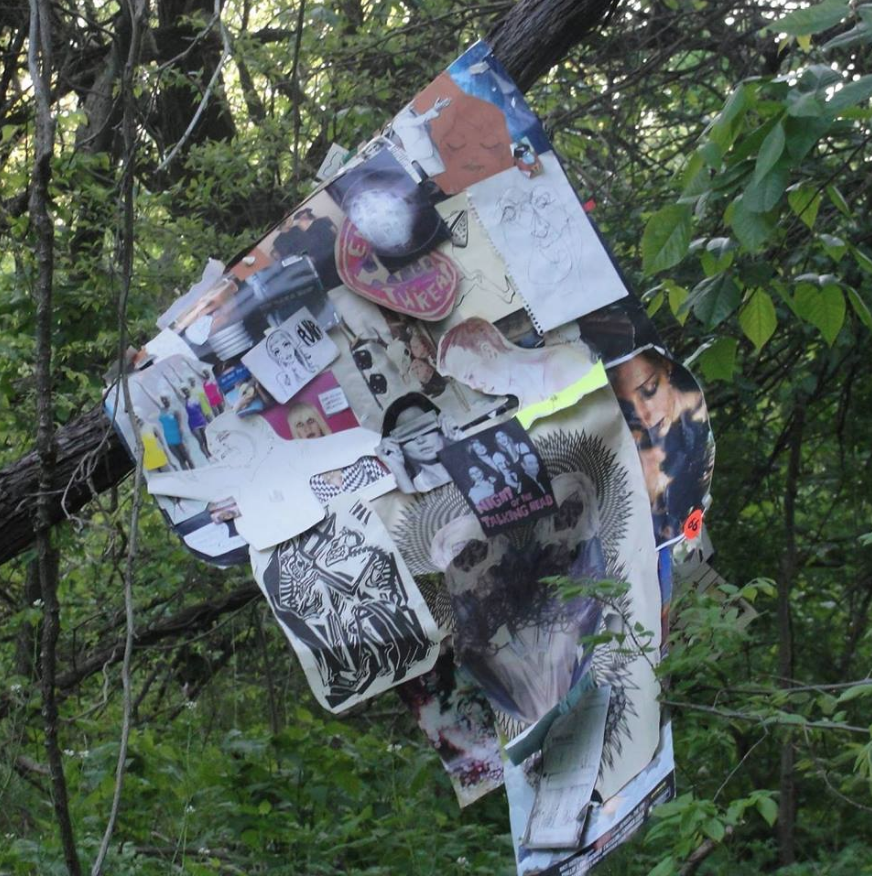 "Teenage Bedroom Released into the Wild" 2013