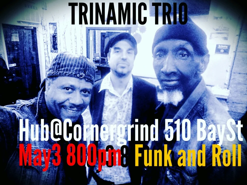 Trinamic Trio Funk and Roll