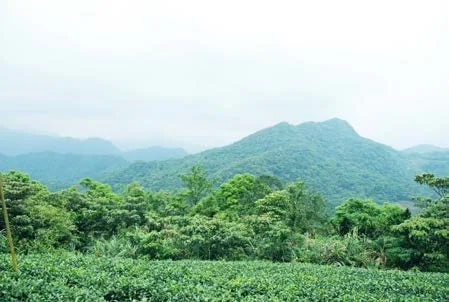 View of Pinglin mountain range in north east of Taipei.