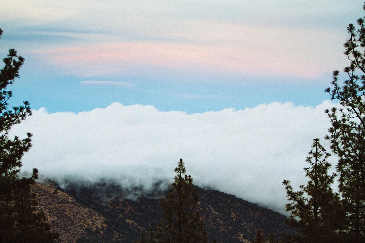 Mount Pinos
