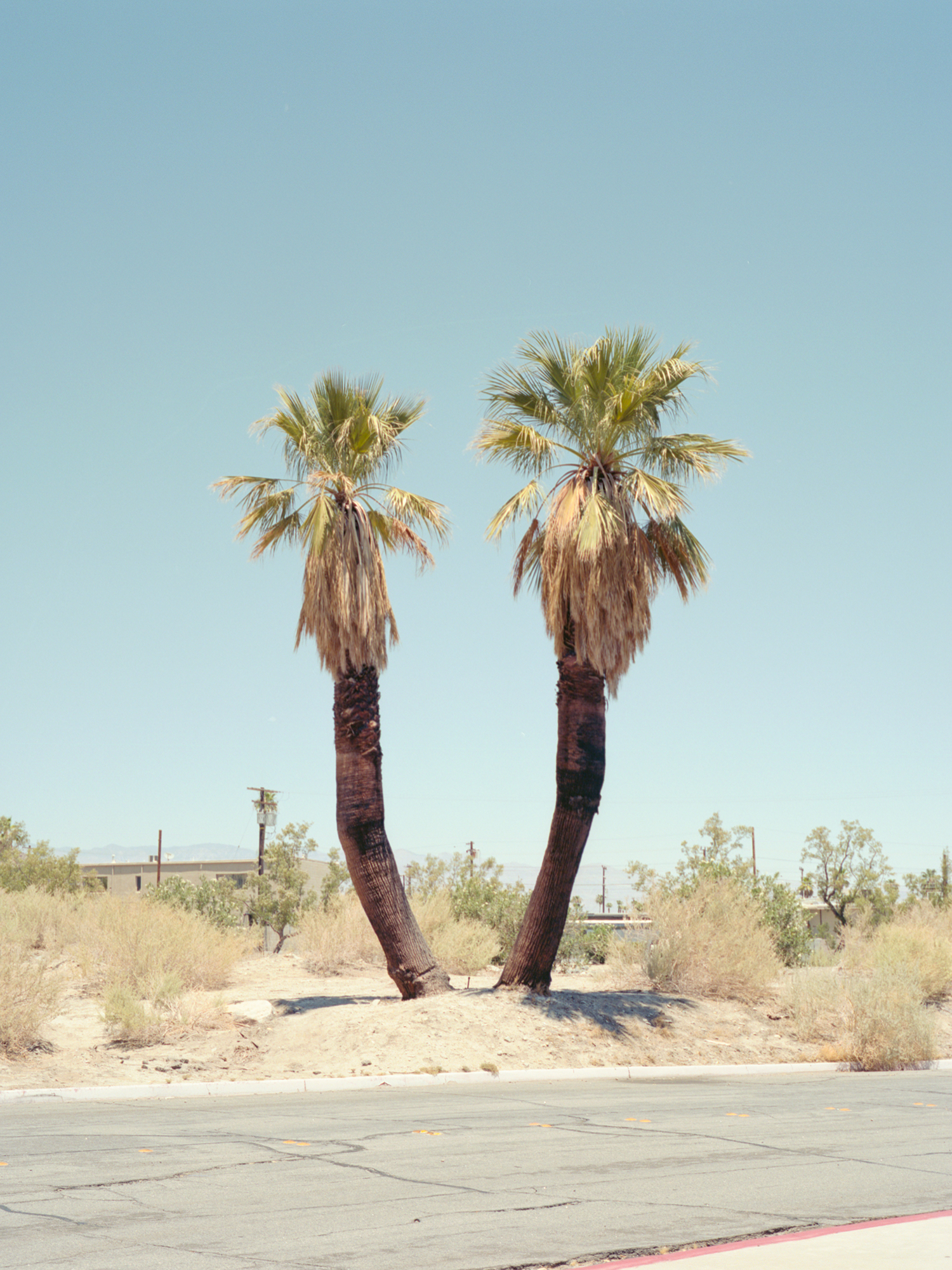 Palm Springs