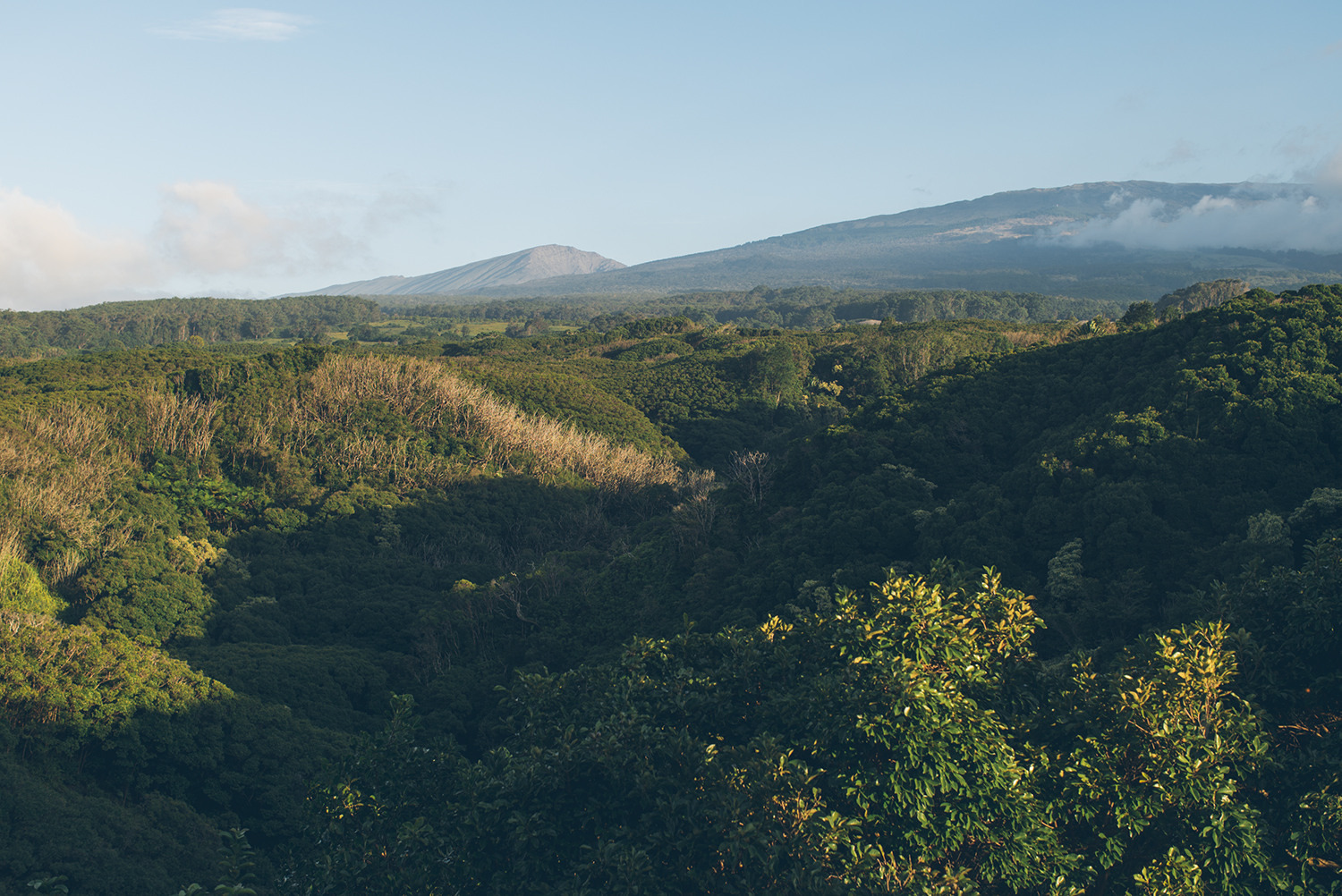 Haleakala, Maui