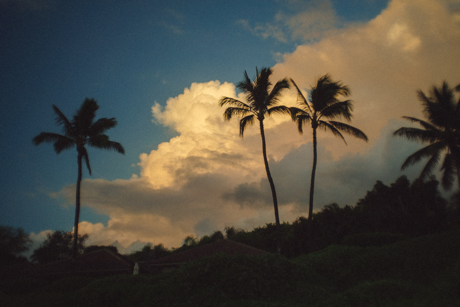 Maui
