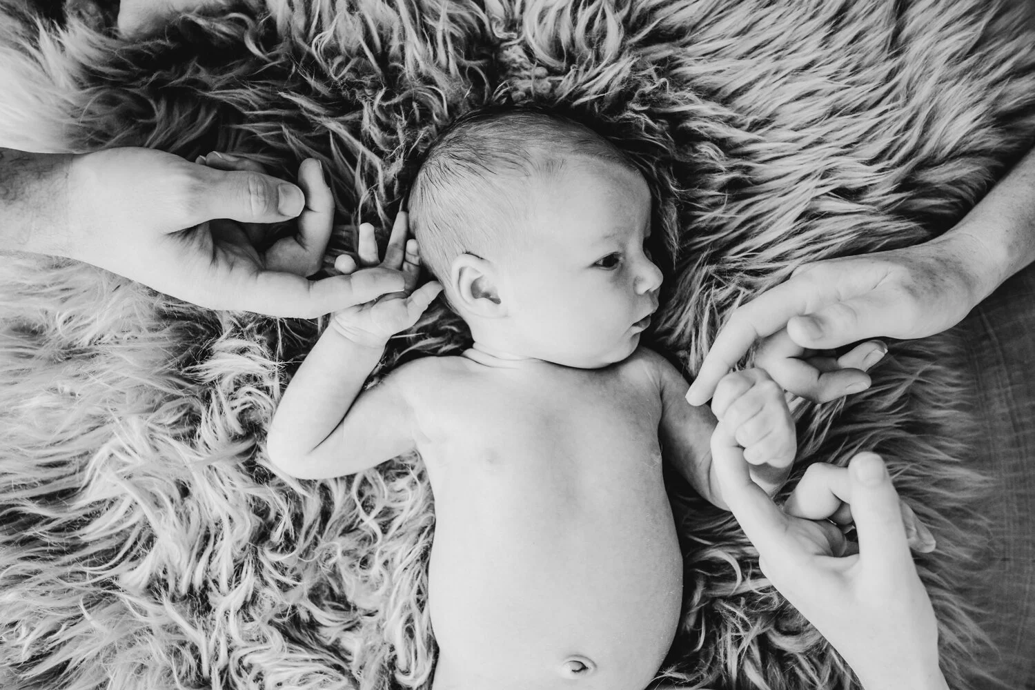 Website - Portraits - 63.jpg