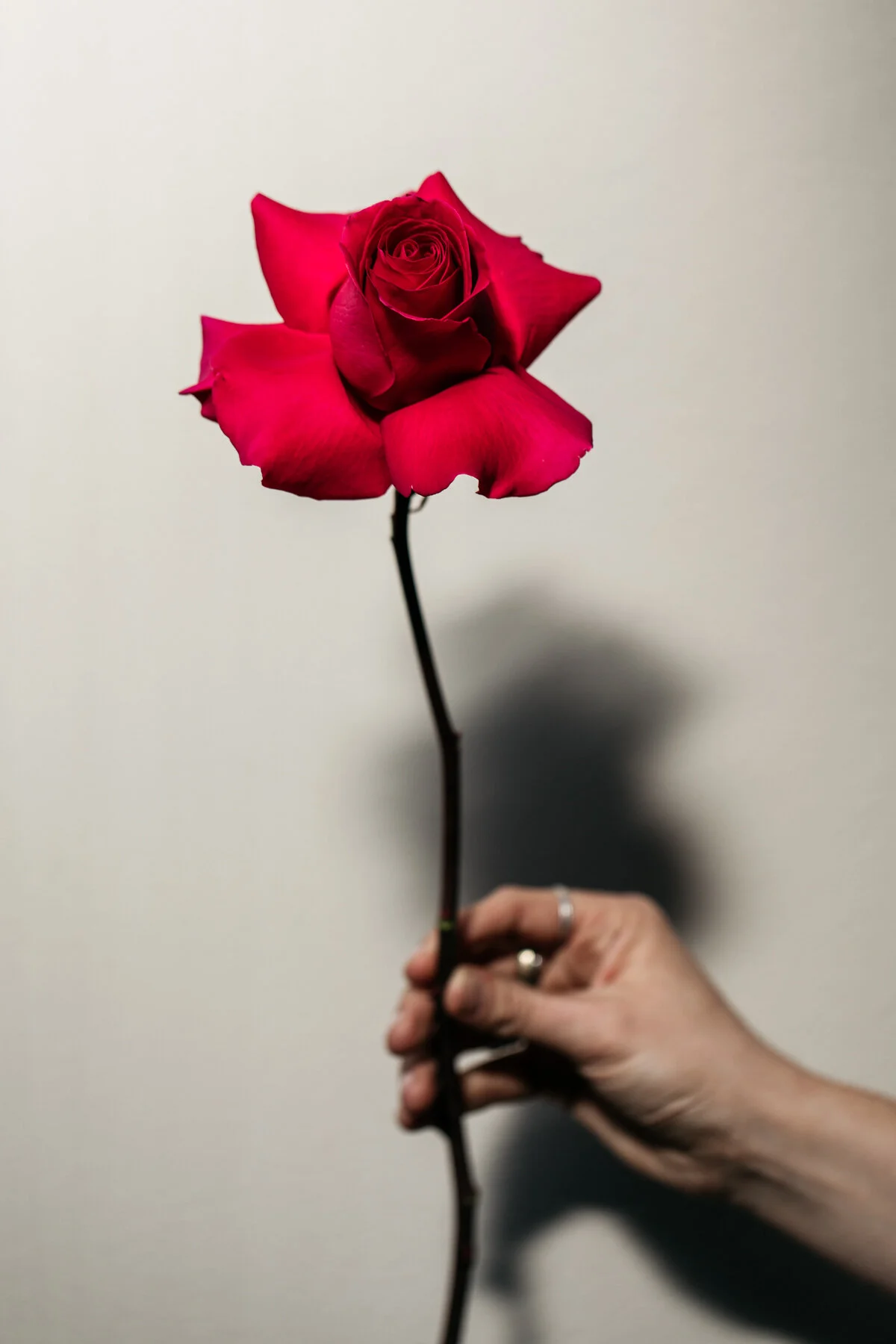 Website - Lifestyle -  70.jpg