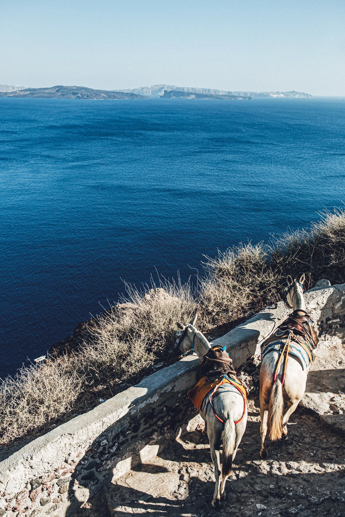 Website - Travel - 24.jpg