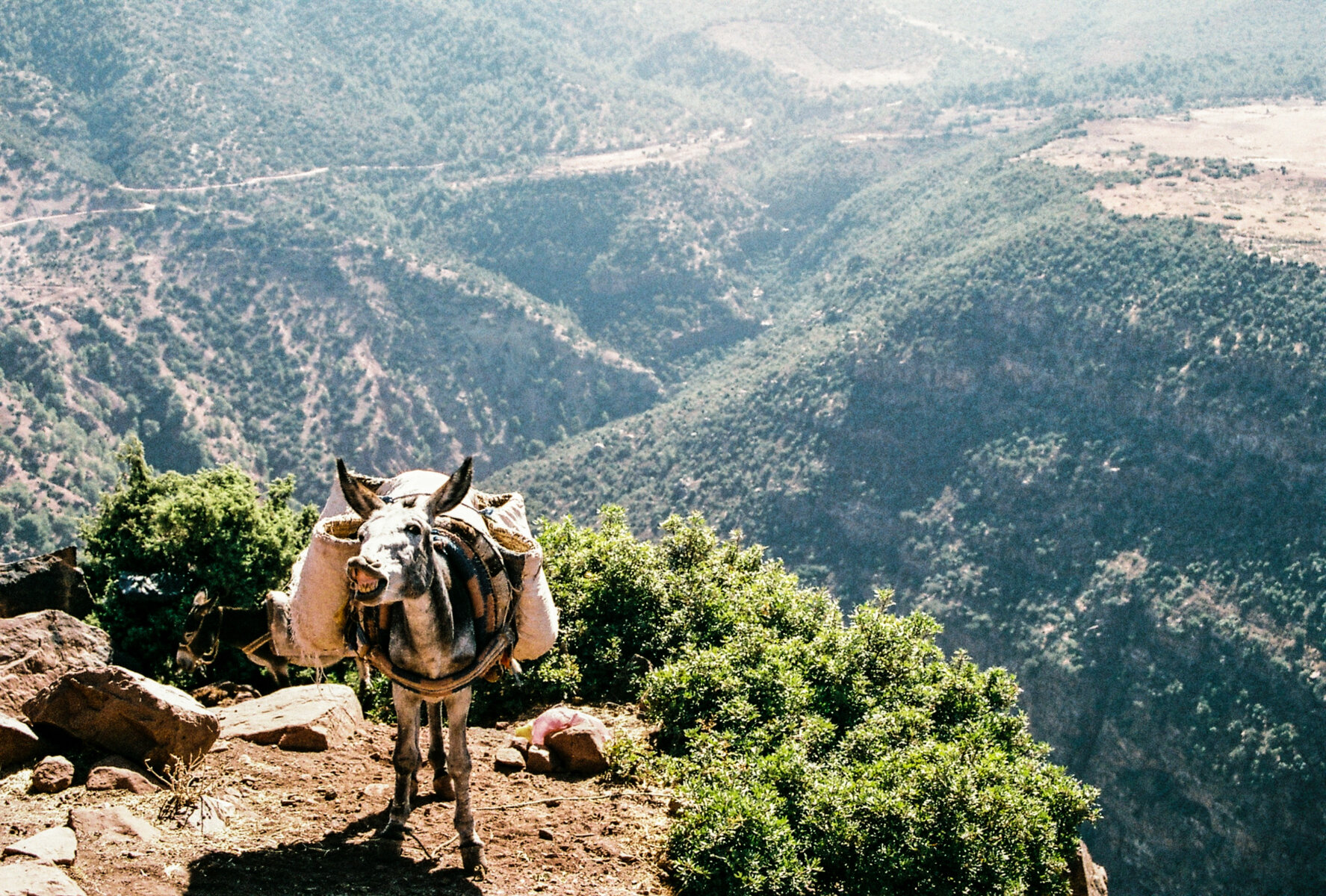 Website - Travel - 36.jpg