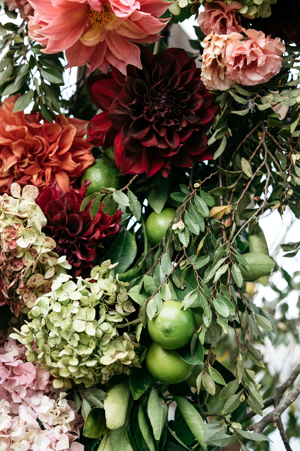 Weddings - A+C -  24.jpg