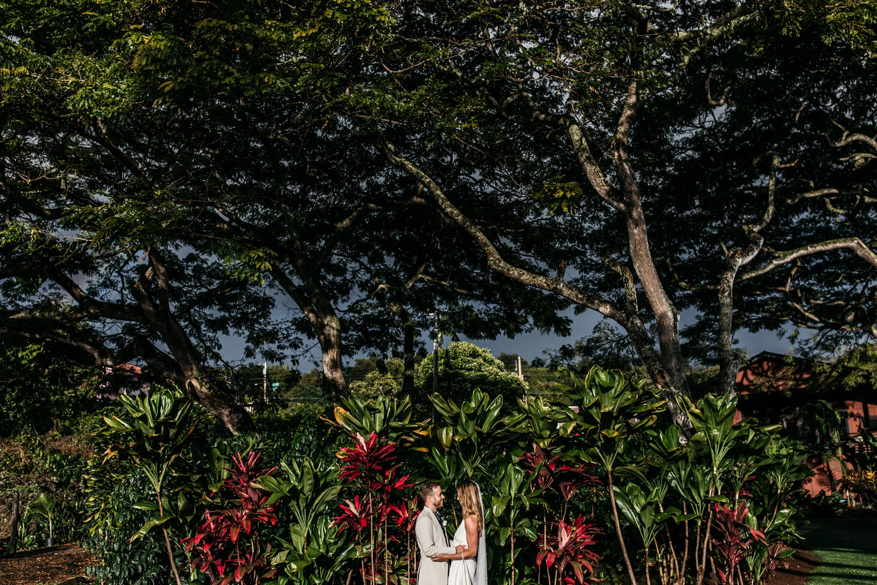 Weddings - A+O -  232.jpg