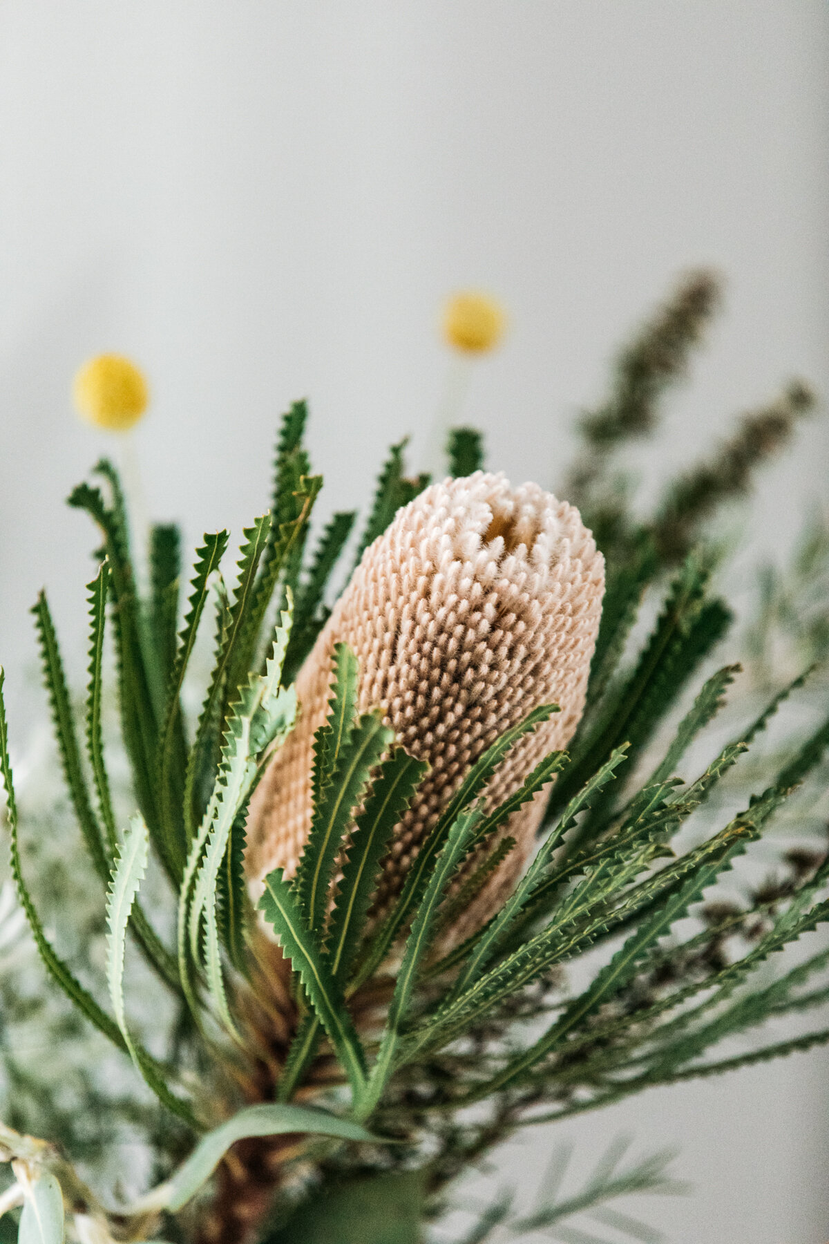 Weddings - G+K-  6.jpg
