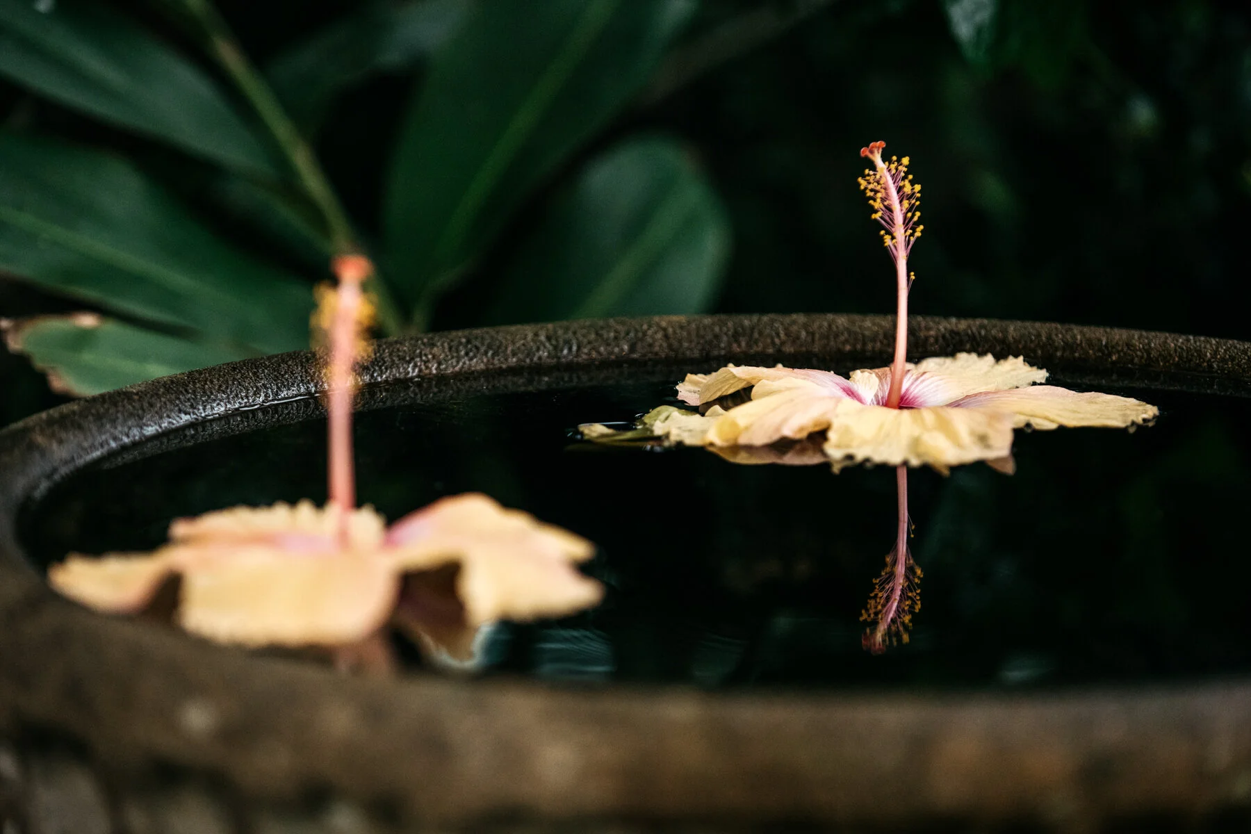 Weddings - G+K-  10.jpg