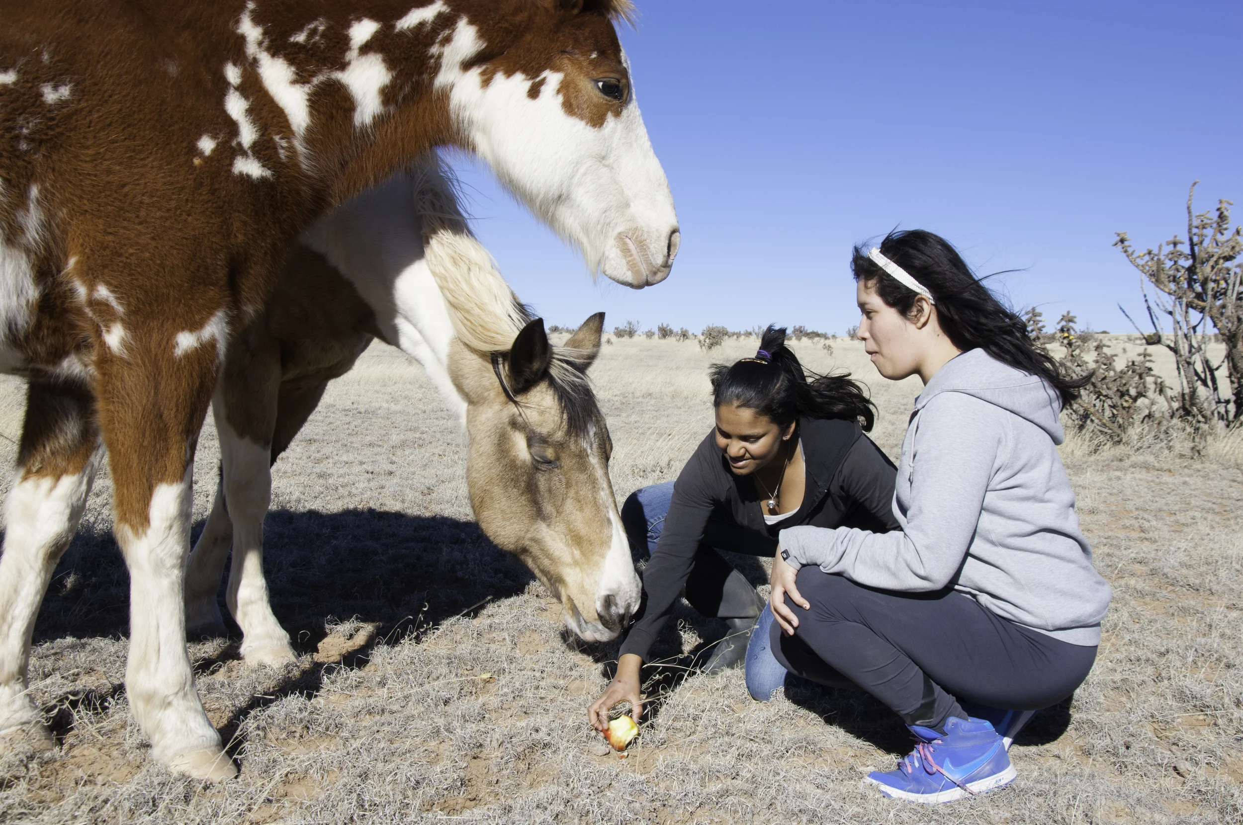 Karen Herman - Karen Herman is co-founder and board president for Sky Mountain Wild Horse Sanctuary. She also works with organizations throughout New Mexico to ensure services for sexual assault survivors and to challenge sexual violence. Karen brings a deep love for mustangs, children, and all things wild to the sanctuary. Janney Martinez - I was born in Santa Fe, New Mexico. I am fourteen and an 8th grader at MIMS. My mentorship is with Karen Herman, as is my partner Rajani's. We work with wild horses. My favorite thing to do is work with animals but the animal i love most is the horse, and i want to know more about them. Rajani Clinger - My name is Rajani Clinger and I am adopted from India. I am 14 years old and have been riding for 12 years now. I am going to the Mandela International School and I am in 8th grade. I have always loved horses and have felt comfortable around them, I was drawn to doing wild horses because they need to be protected much more then they are currently, and I wanted to learn about how to help them. I have had the goal and dream to be a vet, farrier or some other gore related job, including training and showing my own horses when I am older.