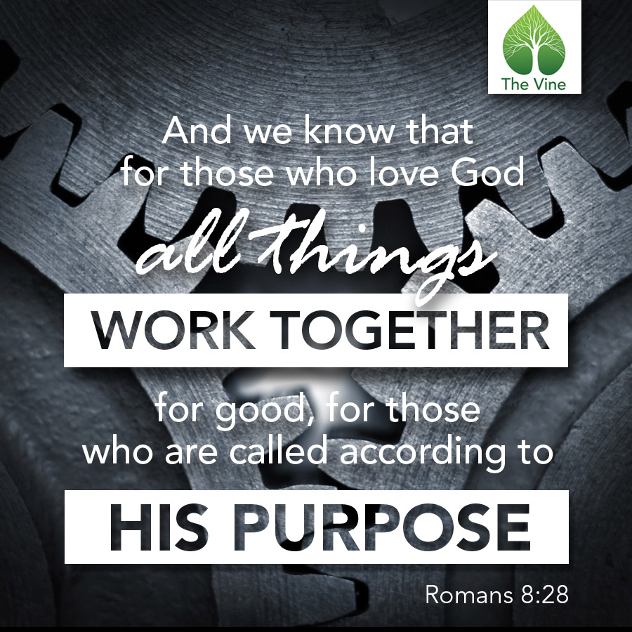 Romans 8:28