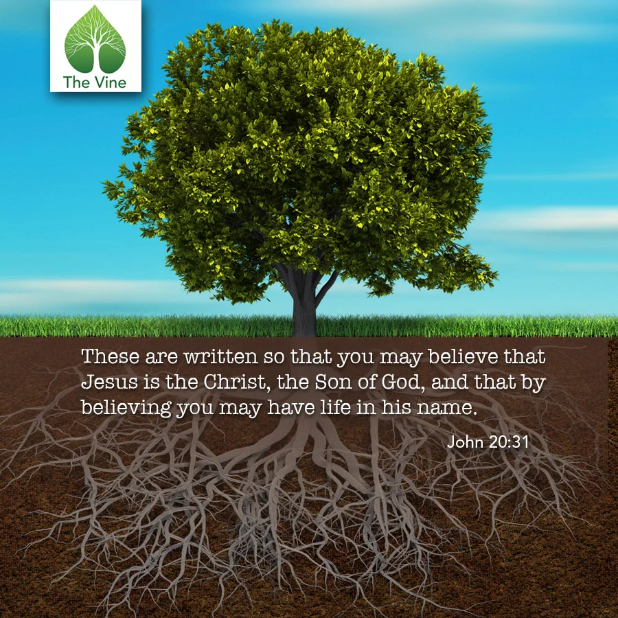John20-31.jpg