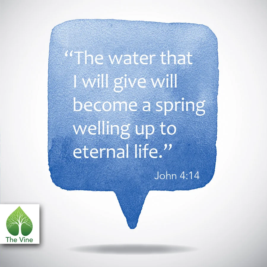 John4-14.jpg