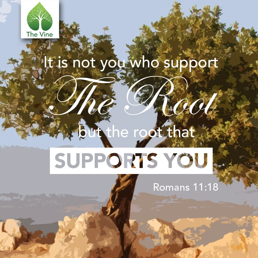 Romans 11:18