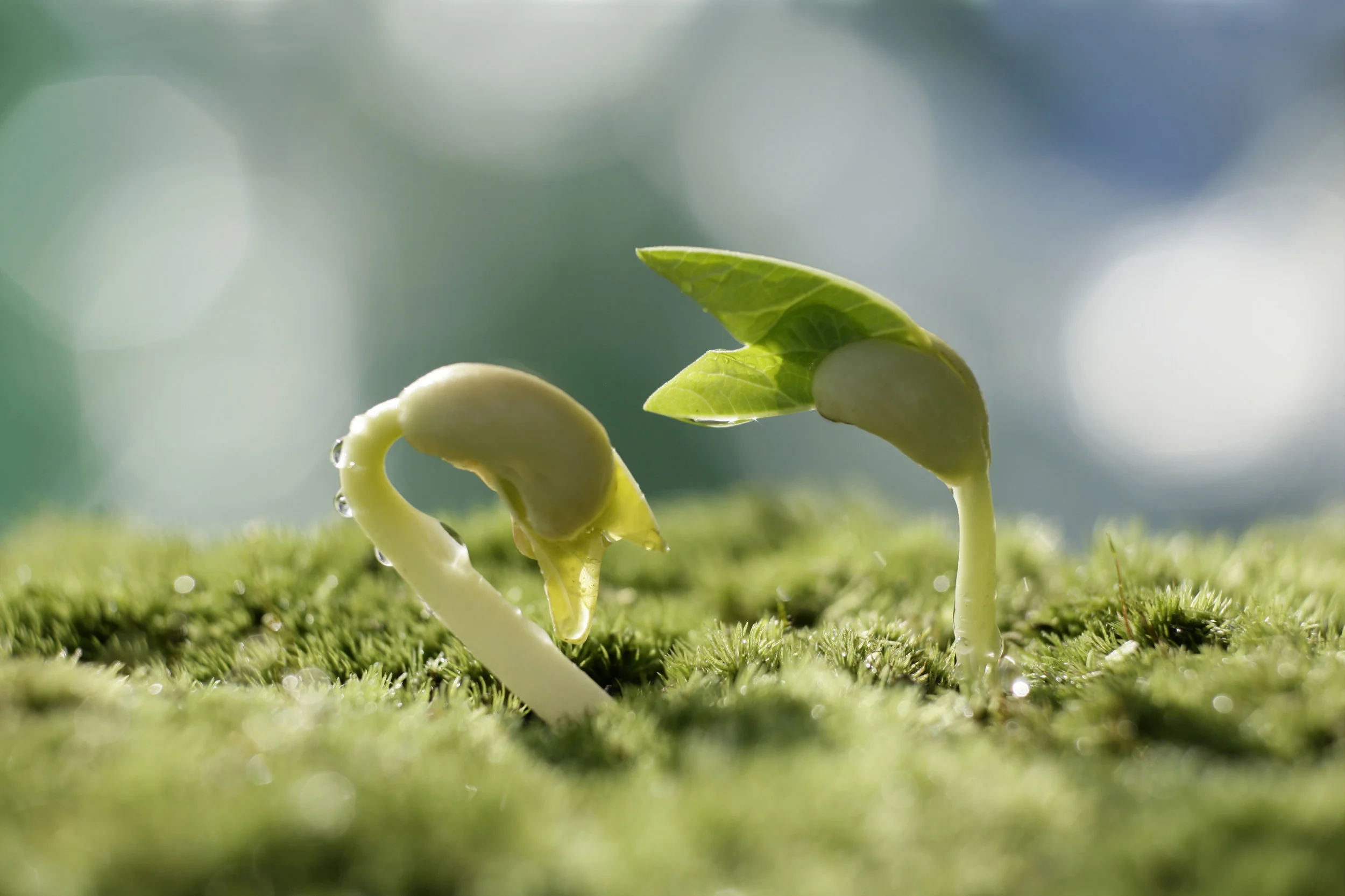 ThinkstockPhotos-96582089.jpg