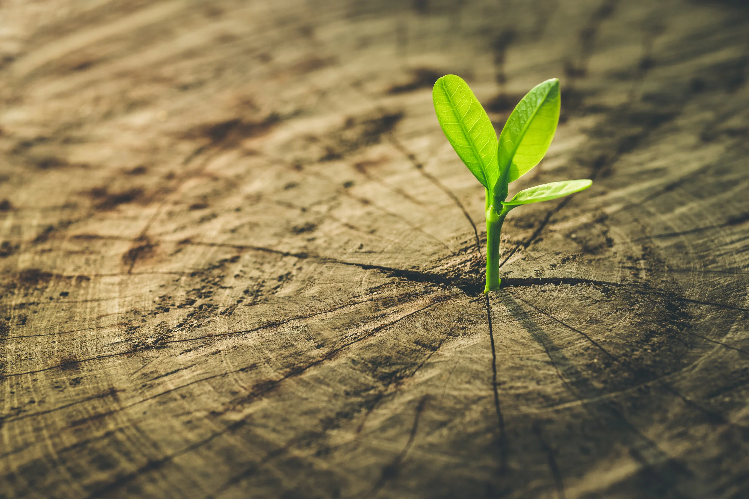 ThinkstockPhotos-641523152.jpg