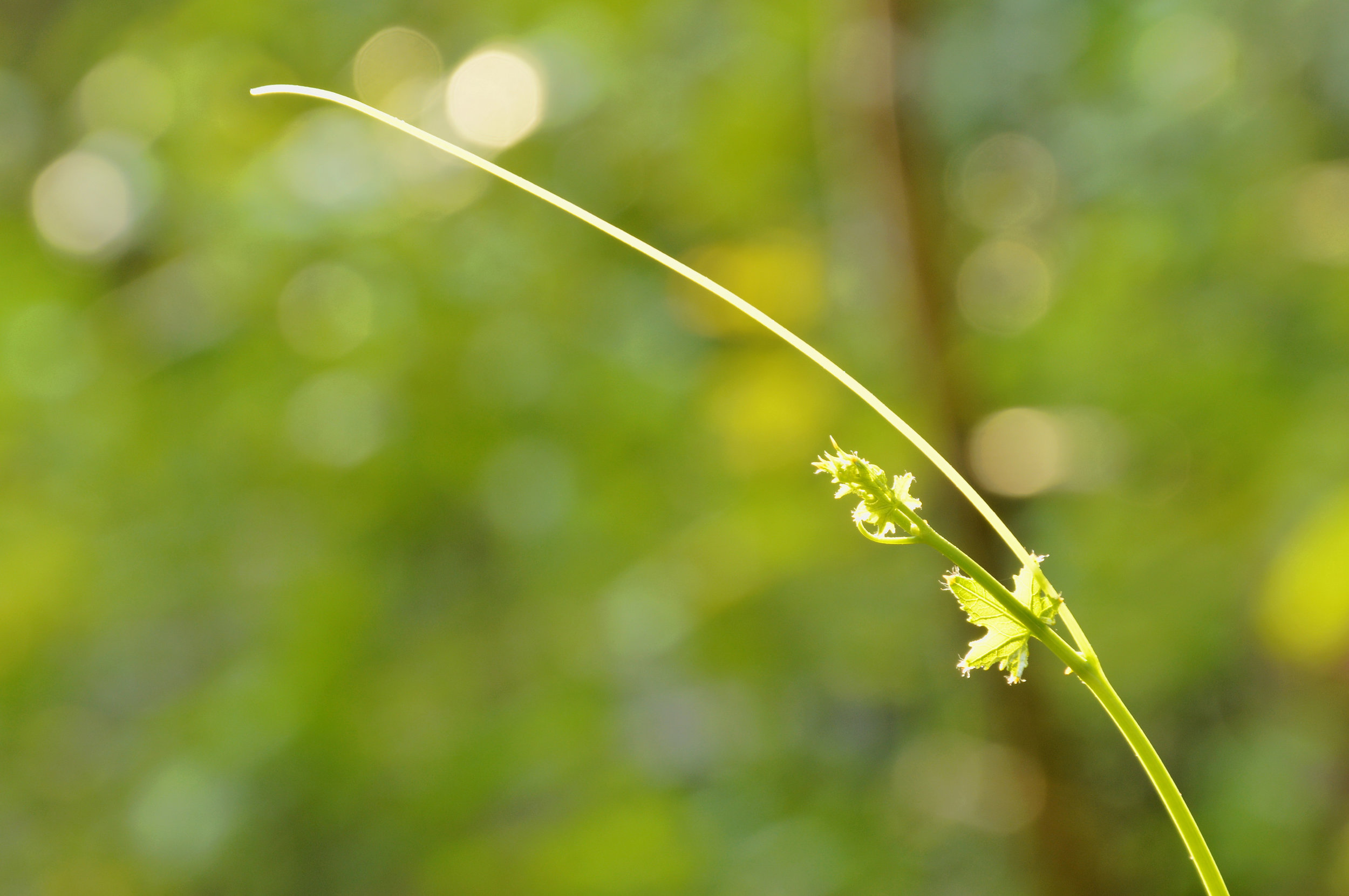 ThinkstockPhotos-908660686.jpg
