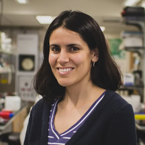 Sarah Ahmadi (2013-2014)
