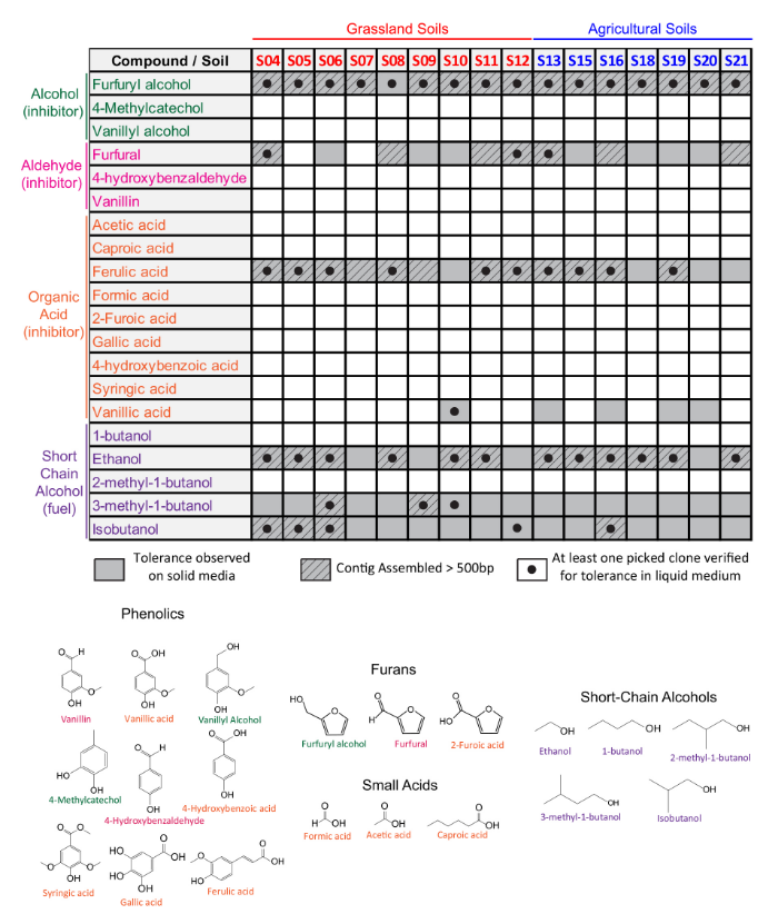 Identification of genes conferring tolerance to lignocellulose-derived inhibitors by functional selections in soil metagenomes. Forsberg KJ et al. Applied and Environmental Microbiology 2015