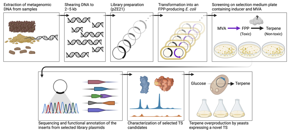 Research — Dantas Lab