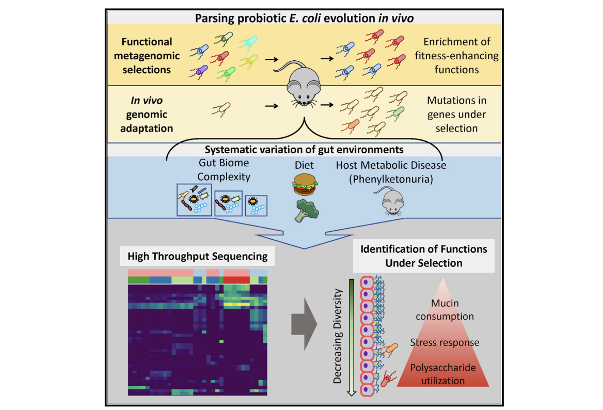 Research — Dantas Lab