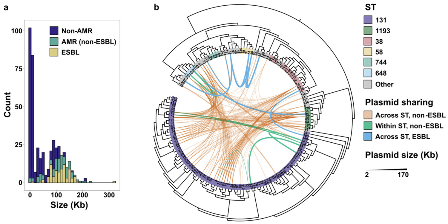 Research — Dantas Lab