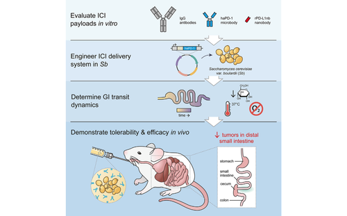 Research — Dantas Lab
