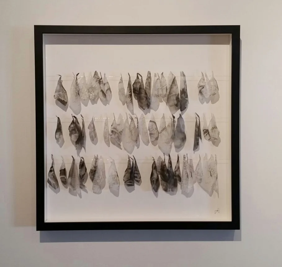 There are stories on their wings (detail) - Copy.jpg