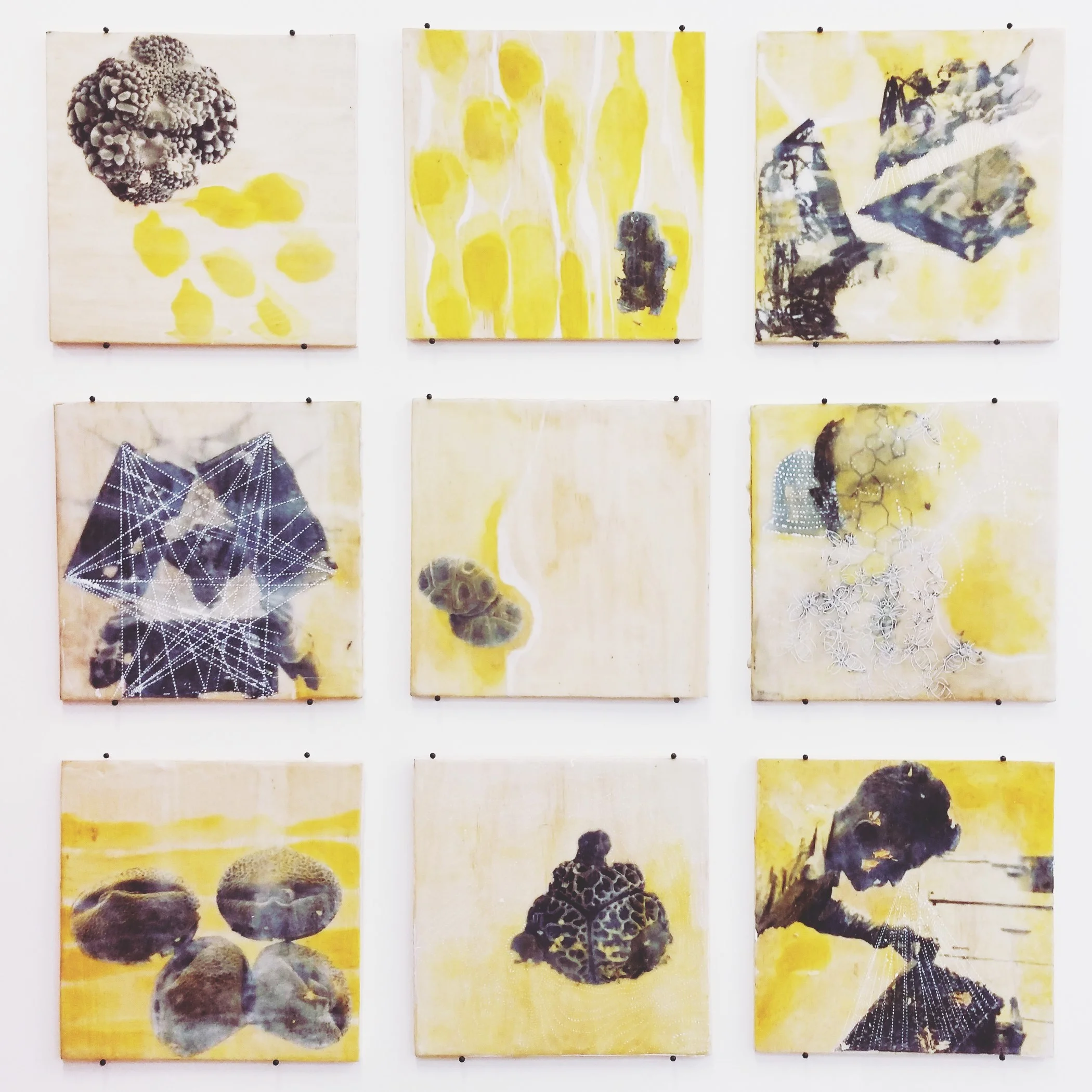 my heart breathes bees 2016.jpg