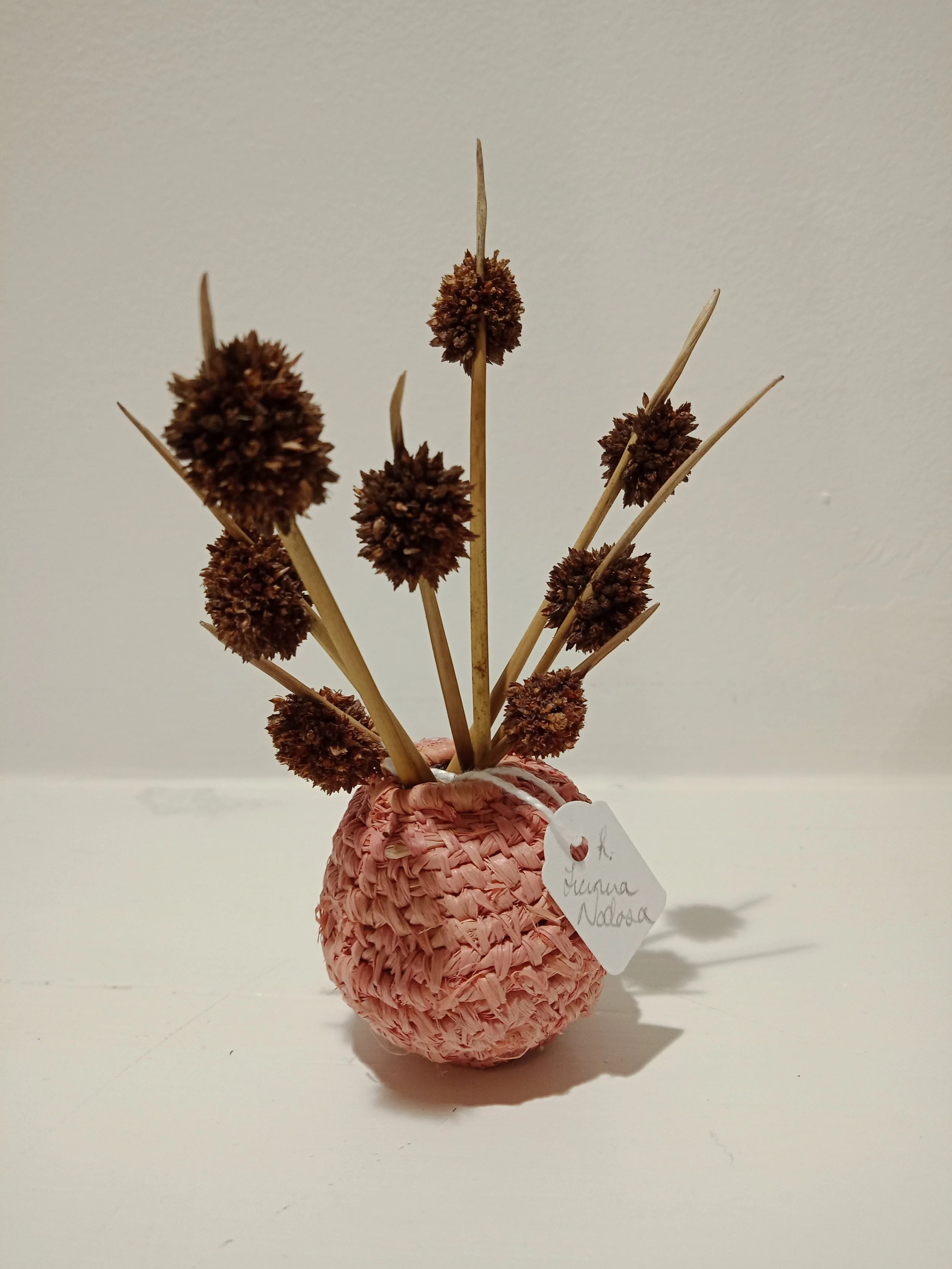 Pollen baskets (detail)