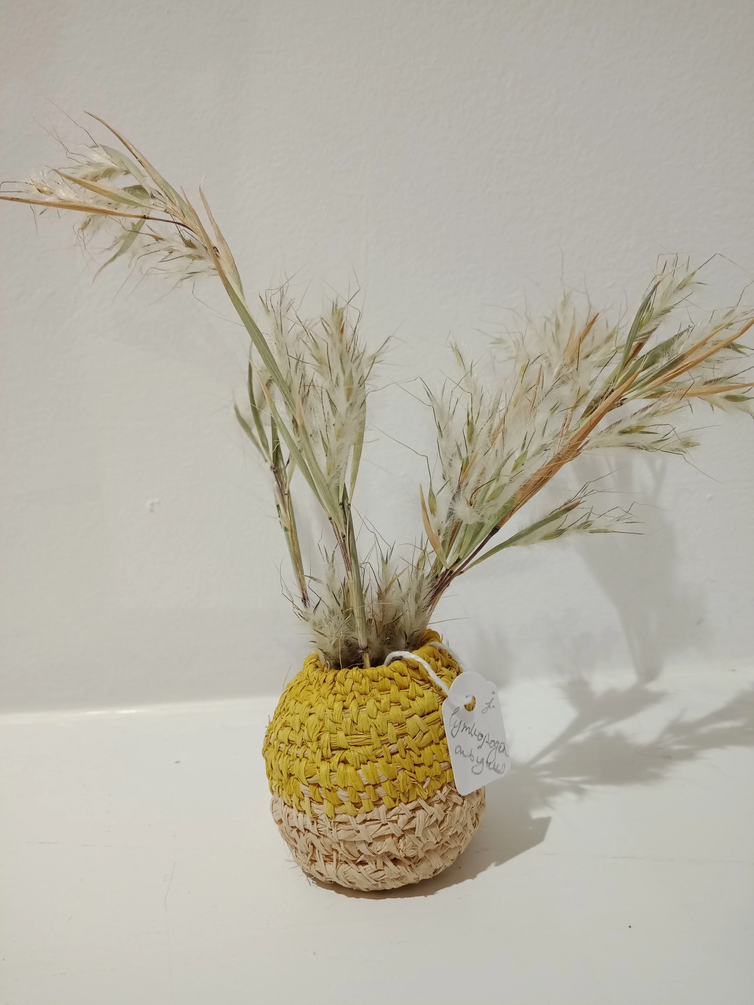 Pollen baskets (detail)