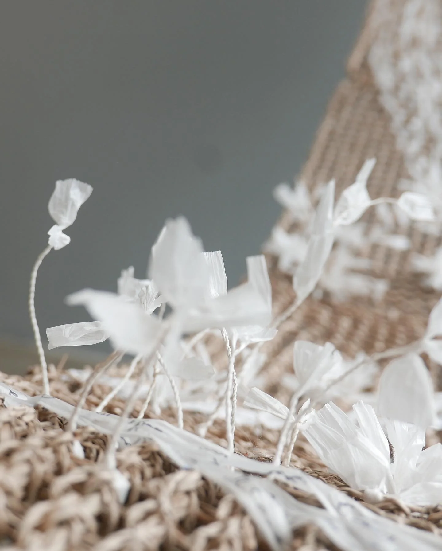 Water Sampler (detail)