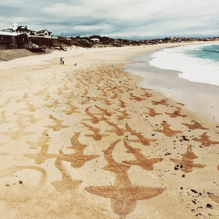 Drawn In - sand drawing