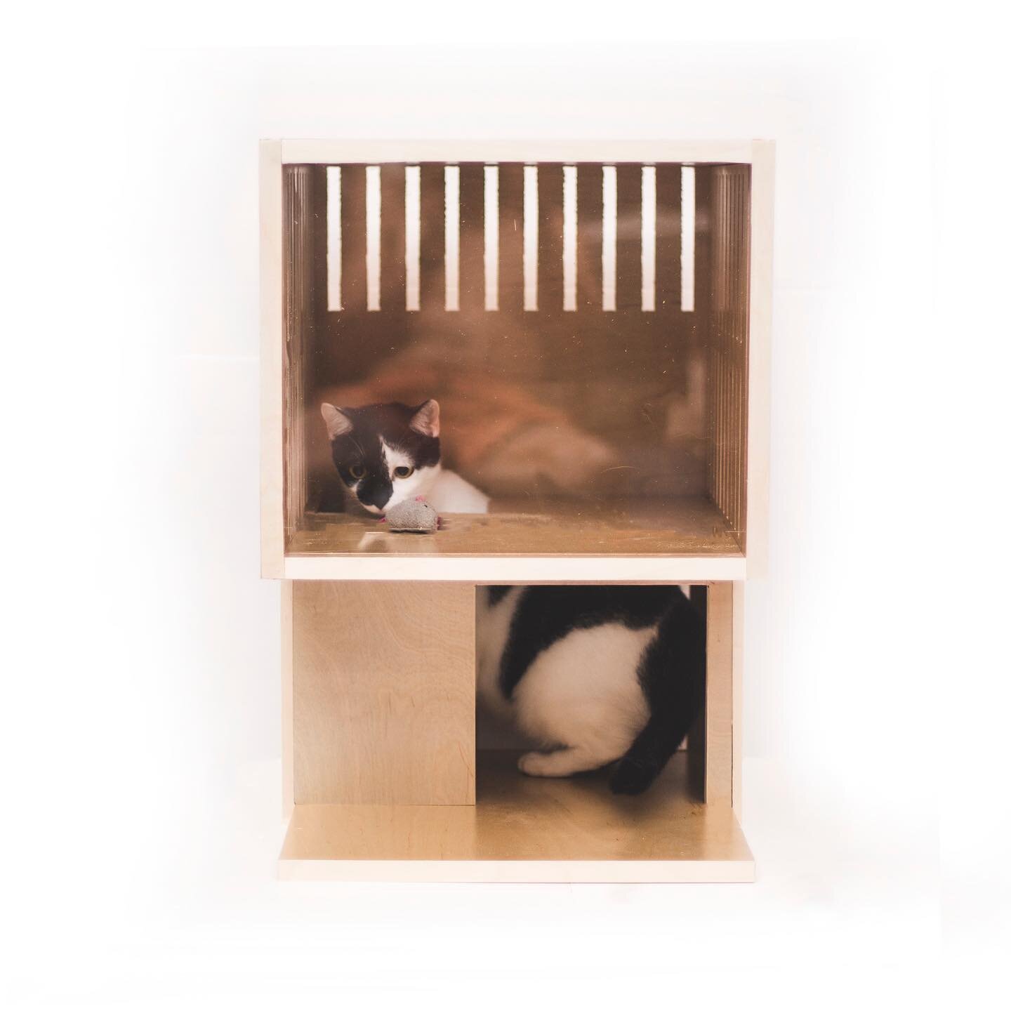 The loft has two floors and the perfect size for most domestic cats, it also makes a perfect nightstand or side table. 

#cats #catsofinstagram #catstagram #purrtacular #ilovemycats #catoftheday #lovecats #cutecats #instacats #instagood #kittenlove #