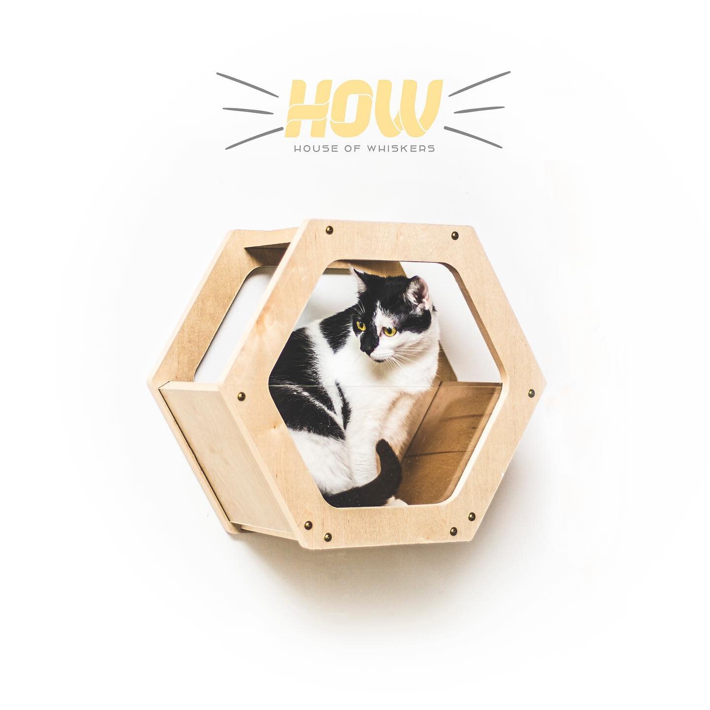 Cat wall shelves provide fun and exercise for your pets. They will become a beautiful decoration of the walls and free the space of your home from cat things.
HEX shelve can be a great gift for your friends for their favorite cat 🐈🤍