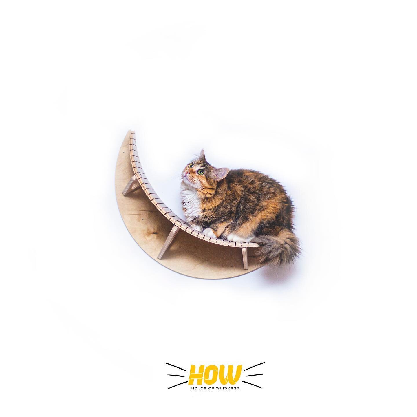 This wooden decorative piece of art blends perfectly into your home.

Its elegant, natural design fits into any d&eacute;cor, creating an ideal resting and play space for your favorite feline.