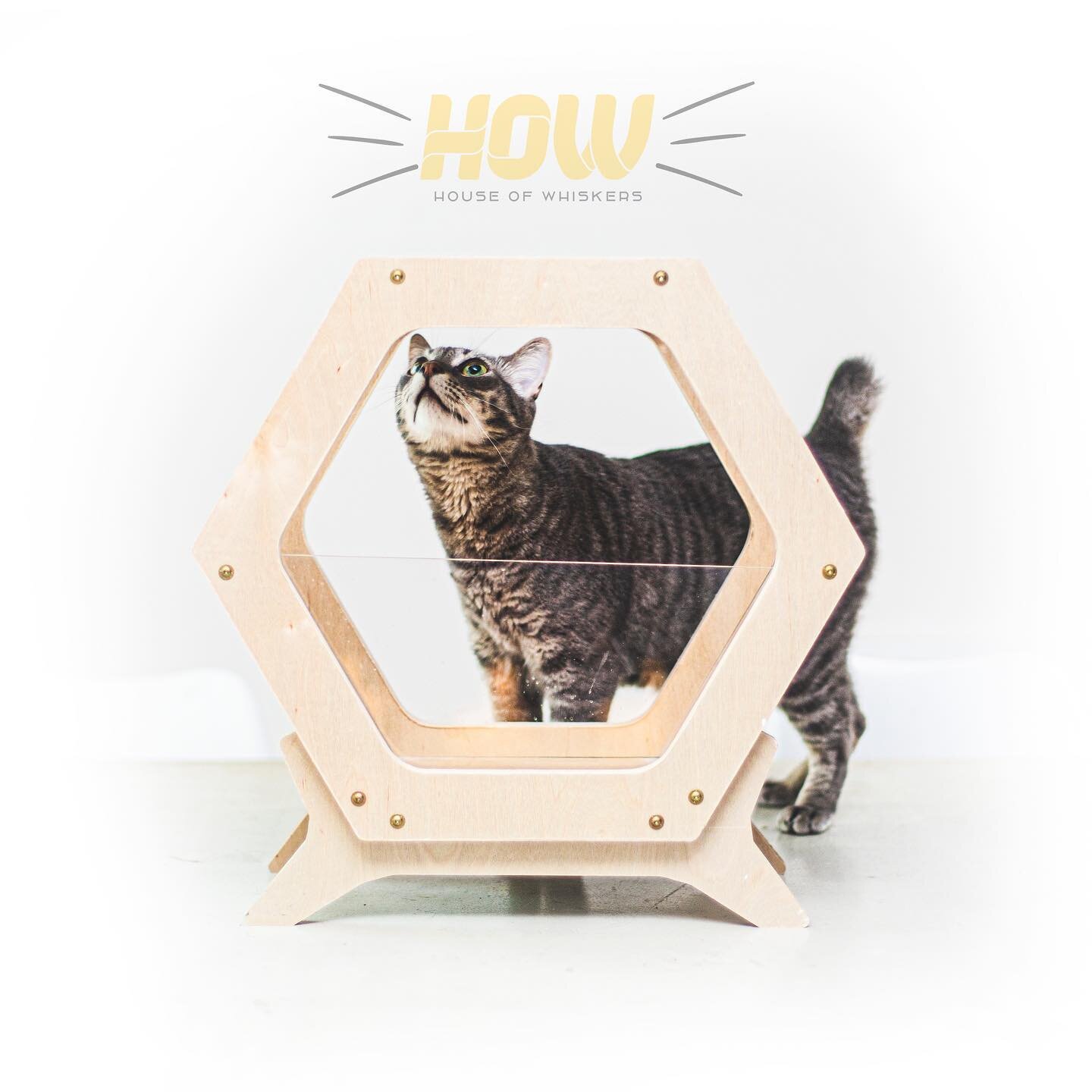 Original designed cat furniture would be a perfect match with any types of interior design, so cats and cat lovers would share the happiness living spaces all together while having their own territory.