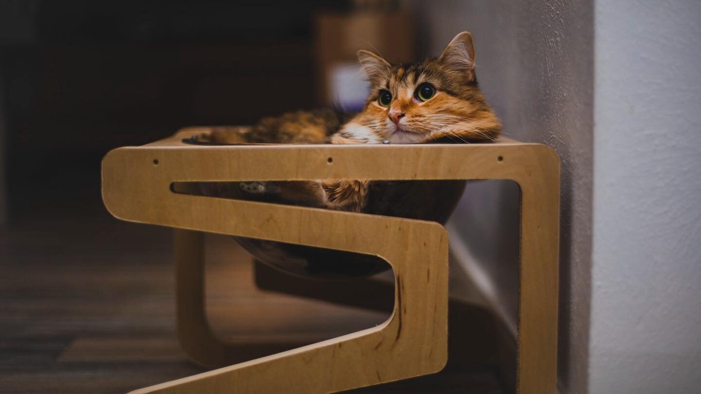 The Zen is designed to provide your adorable felines with an unparalleled refuge and play space. With its innovative space capsule-shaped design, this wooden structure provides your cats with a cozy and secure place to rest and explore. The spacious 