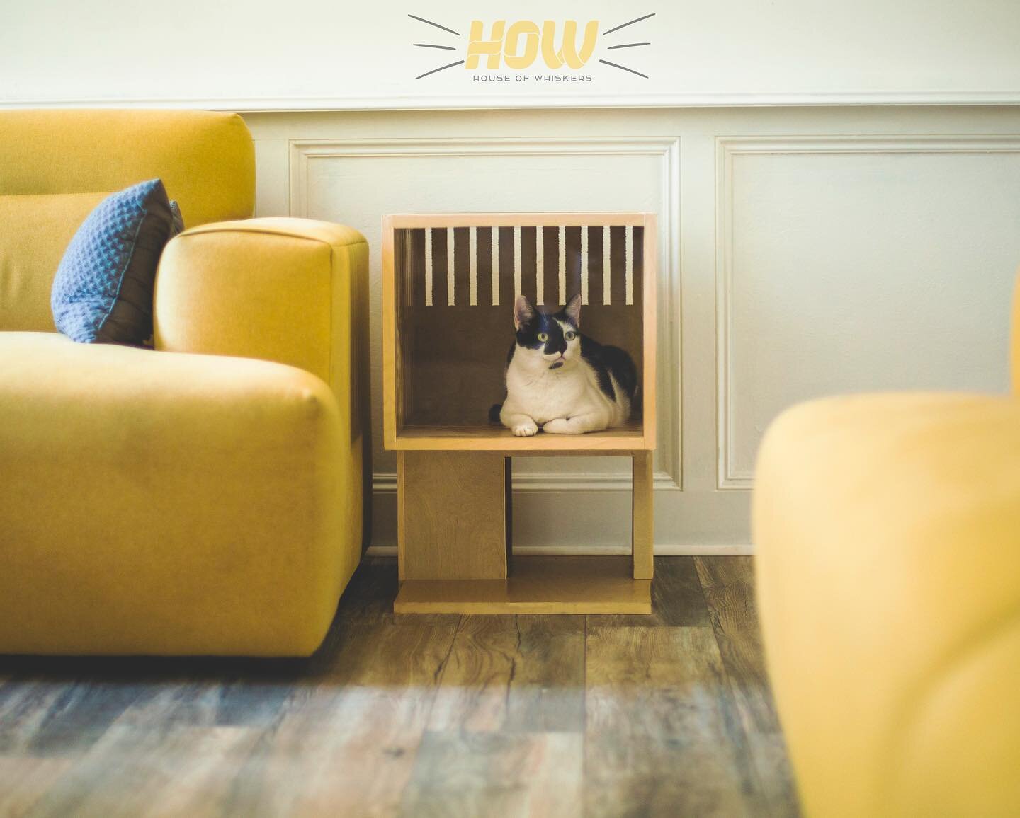 A loft styled home for your feline, or a side table for your living room. It's both. Natural light is something cats and humans can enjoy, the Sol loft was made for natural light to pass through so your cat can sunbath in their own comfortable space.