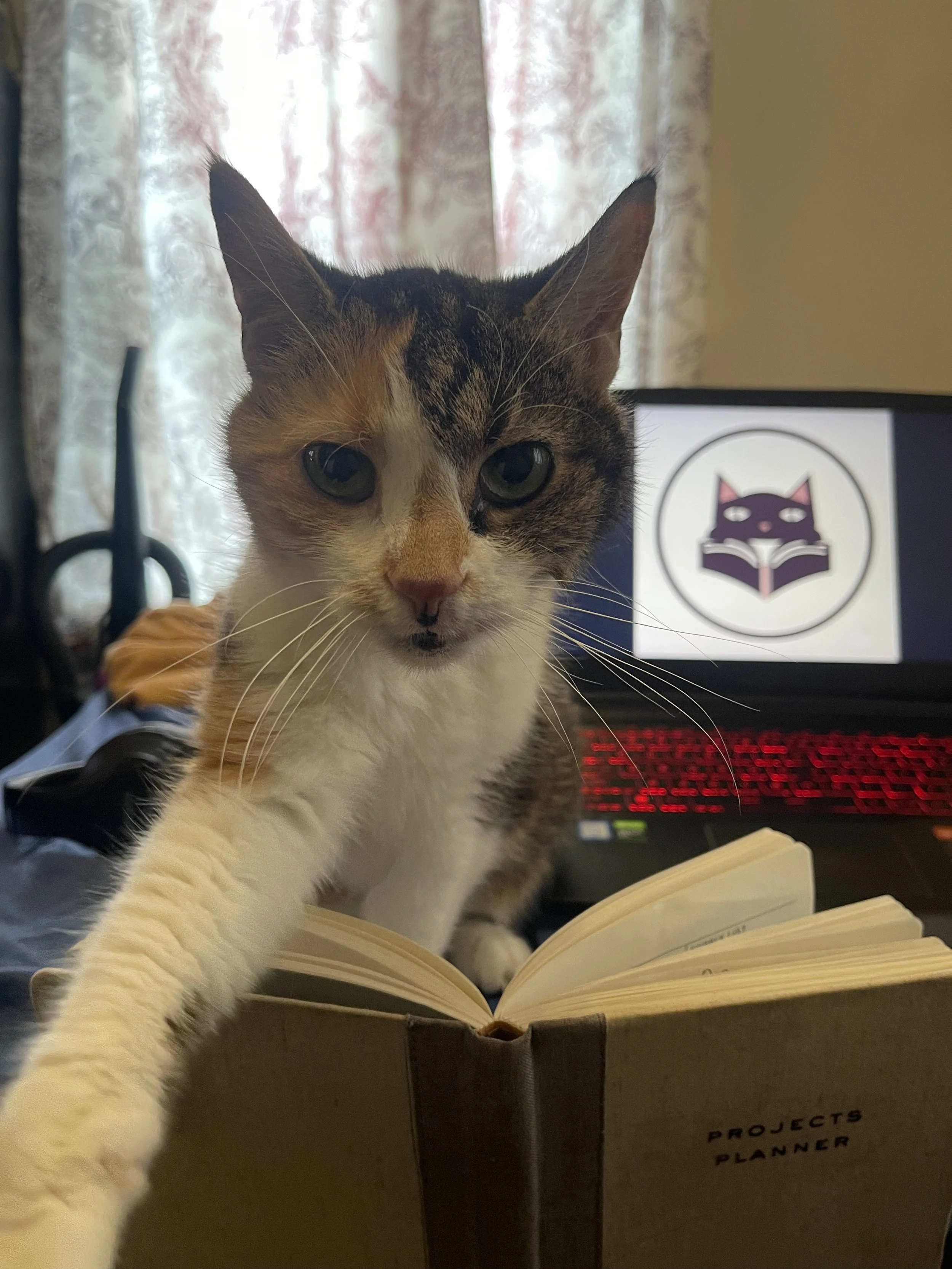 Boss, the Puss and Pages founding feline, reaches across an open book with the community logo displayed on a laptop behind her.